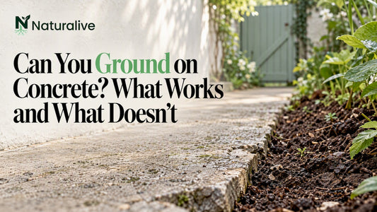 Weathered concrete path meeting damp soil